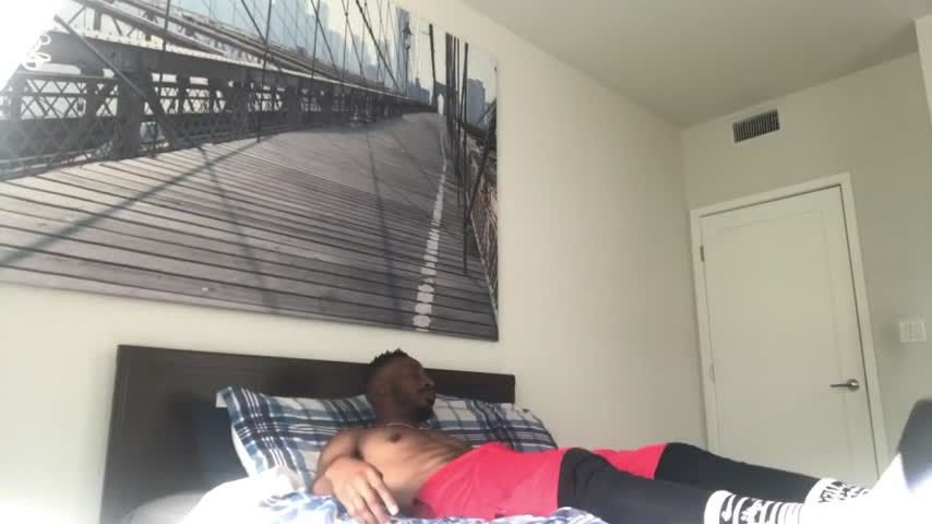 Brought the New Neighbor home