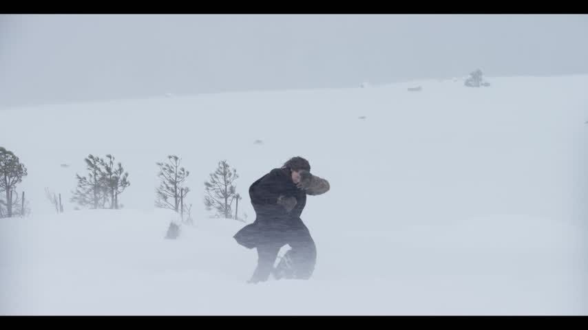 Trailer To Tree Of Life