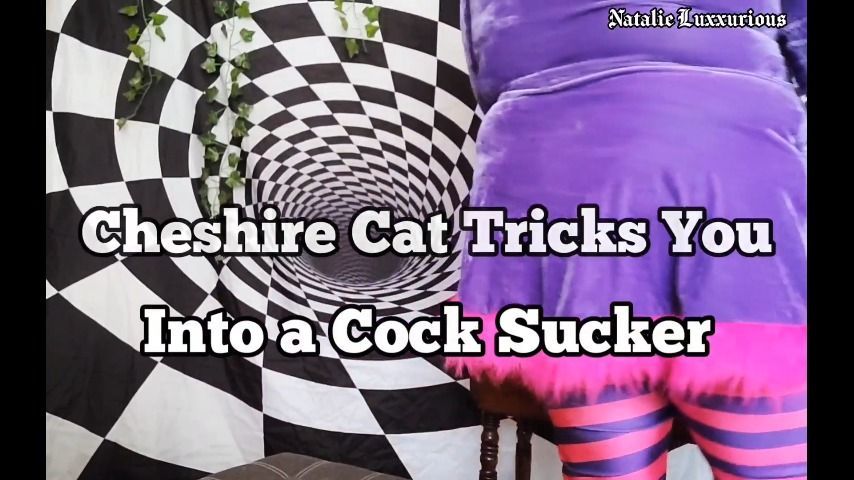 Cheshire Cat Transforms You Gay