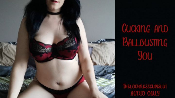 Cucking and Ballbusting You