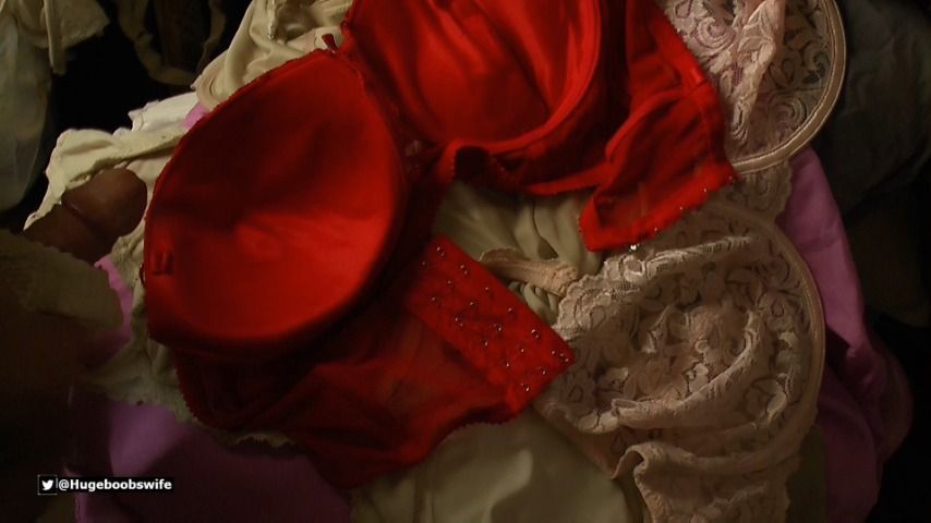 Cumming on Wife Bras