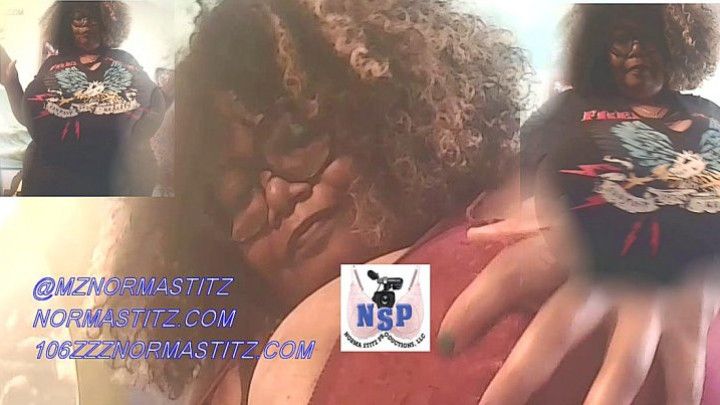 WHATS HUGE UNDER THAT TOP NORMA STITZ