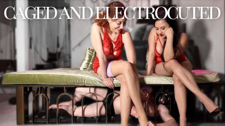 Caged and Electrocuted by Thank You Empress and Dea Starbabe