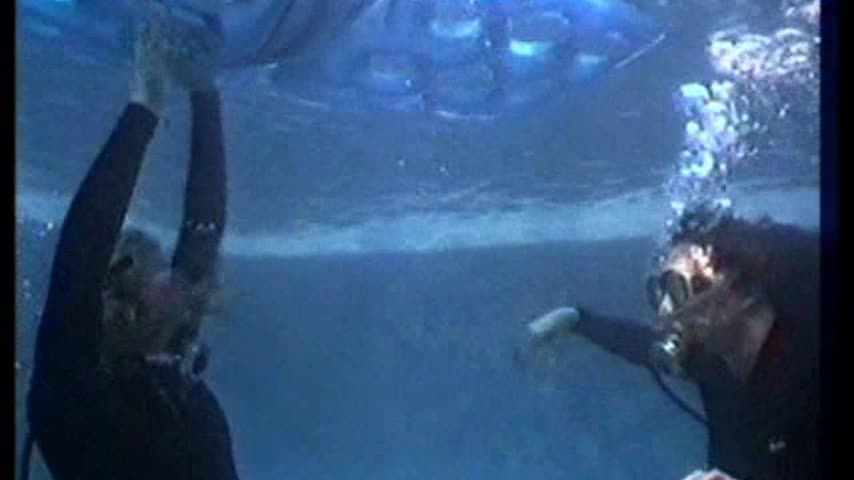 Underwater Cat Fight - Lisa &amp; Co