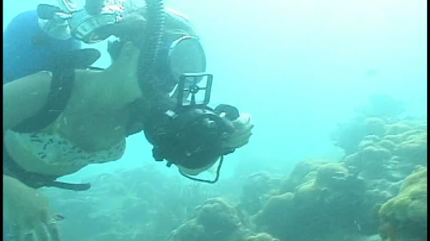 Retro Scuba Girls go Topless