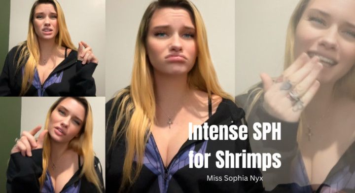 Intense SPH for Shrimps