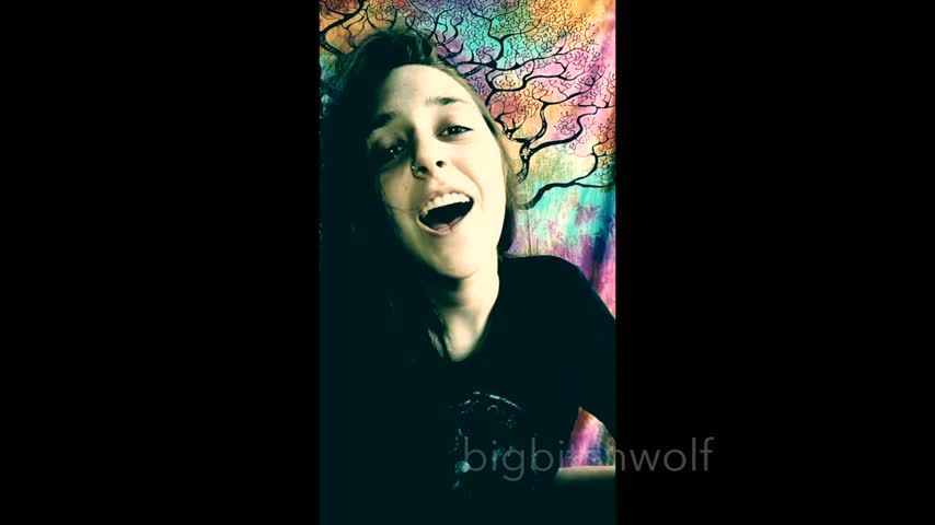 WOLF//Alpha Wolf Intimidation