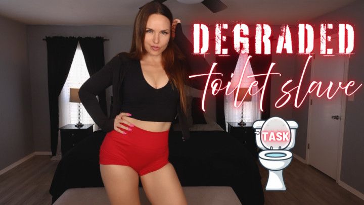 Degraded Toilet Slave Task