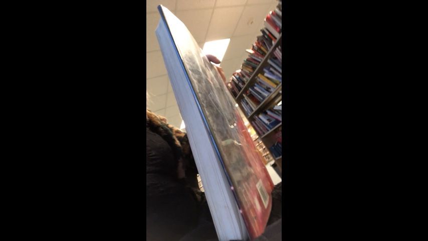 PUBLIC LIBRARY MASTURBATION