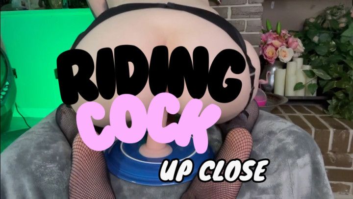 Reverse Riding wearing Fishnets - Close Up View