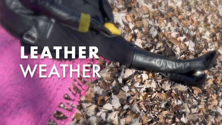 LEATHER WEATHER