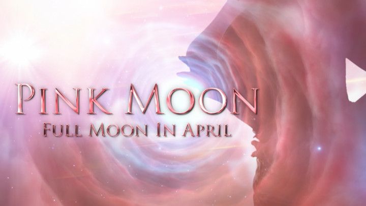 Pink Moon