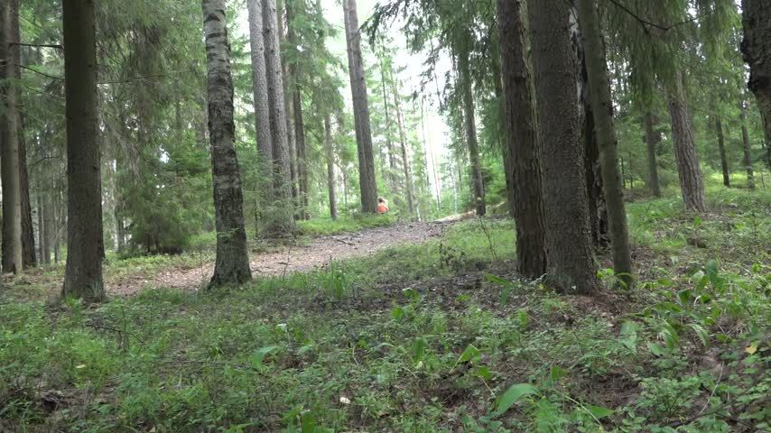 Fitness in the woods