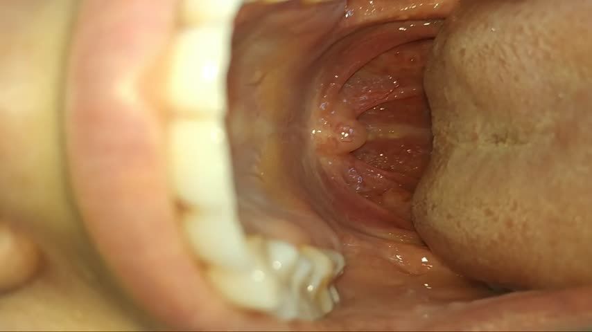 vore video "get your ass inside my mouth