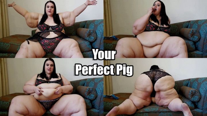 Your Perfect Pig