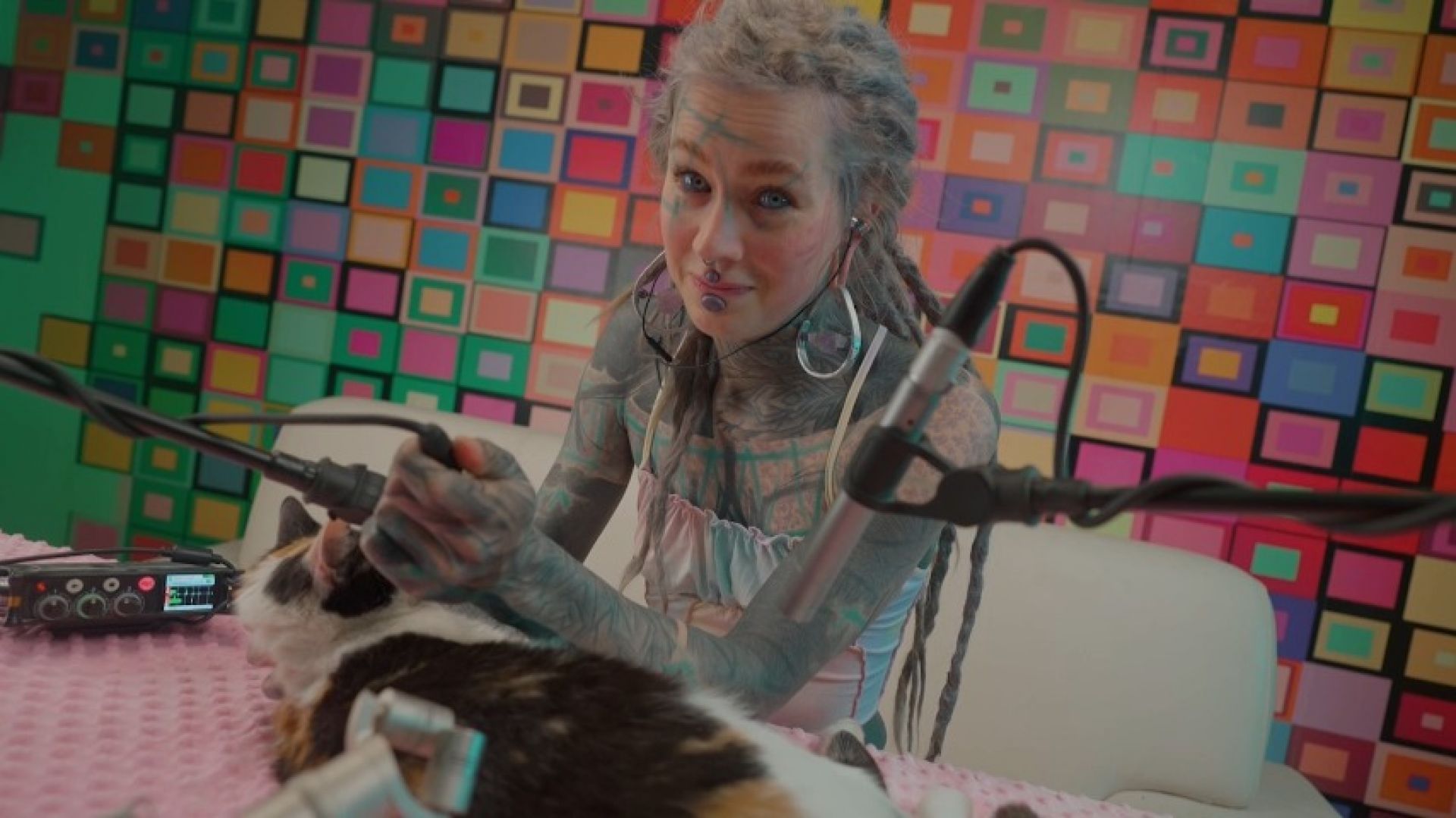 Purring ASMR  - with Anuskatzz