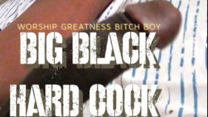 BBC ******** Sissy Meltdown