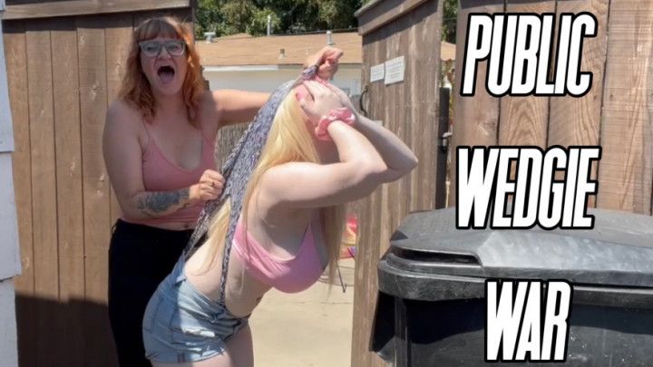 Public Wedgie War