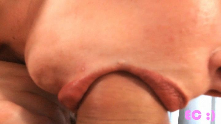 Extreme Close Up Blowjob