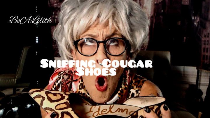 Sniffing Cougar Shoes