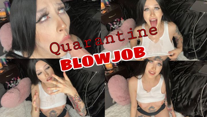 Quarantine Blowjob