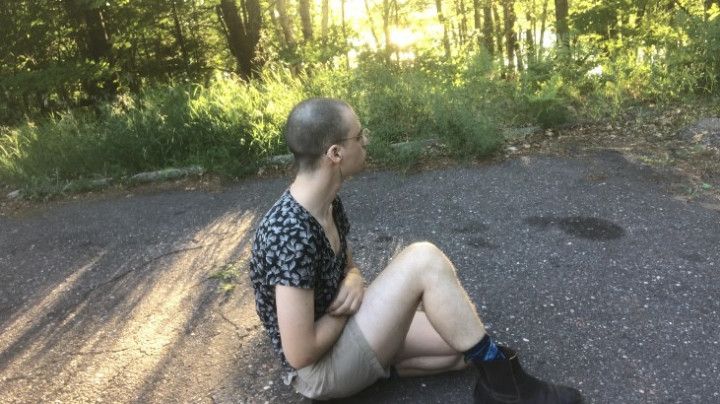 sunny forest stretches