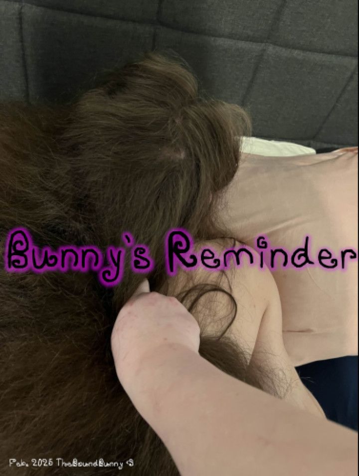 Bunny's reminder