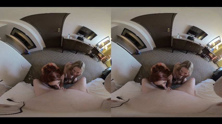 VR 3D POV Double Blowjob Teaser