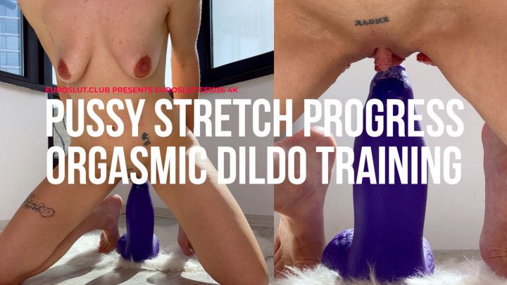 Pussy Stretching Progress Orgasmic Dildo Training