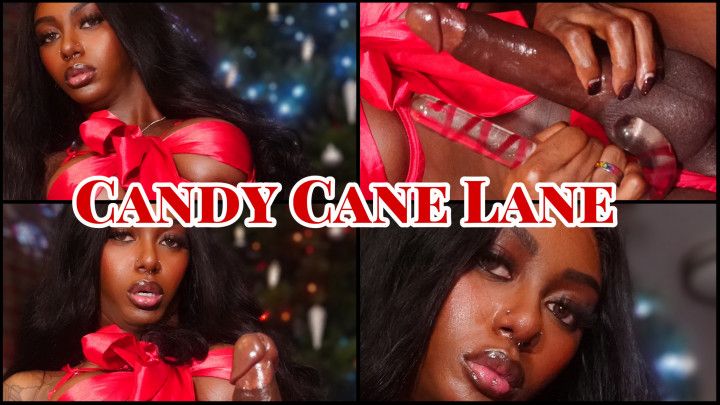 Candy Cane Lane