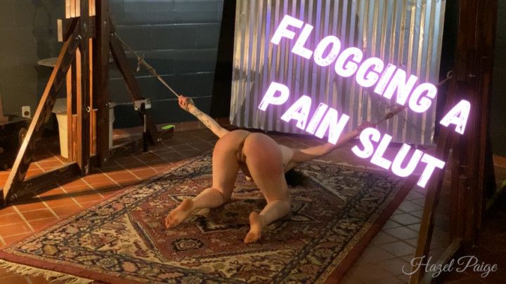 A pain slut flogged