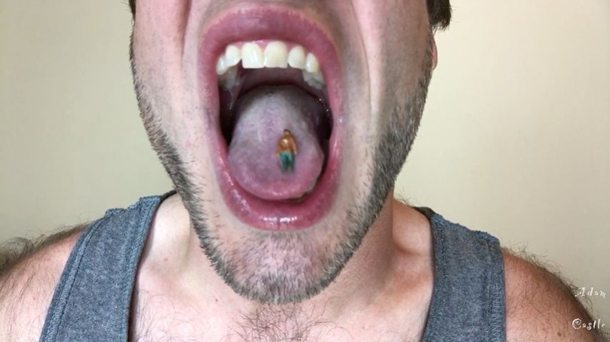 POV Giant Vore Compilation