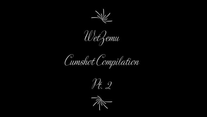 WetZemu Cumpilation Part 2