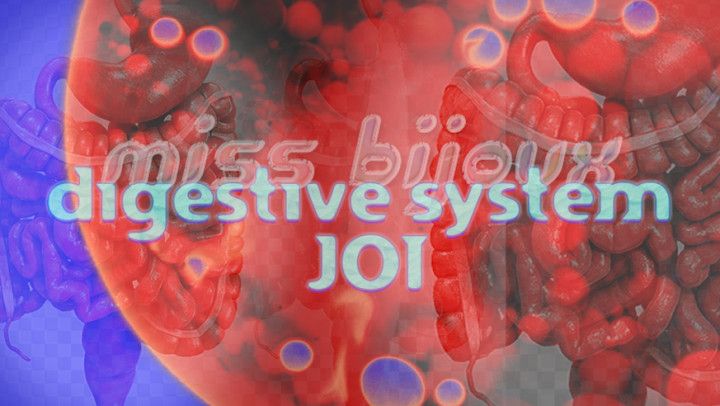 DIGESTIVE System JOI HD Visualizer