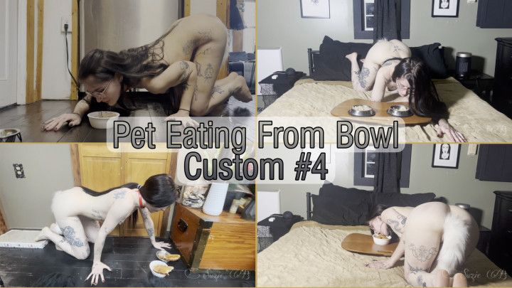 Pet Eating Custom 4