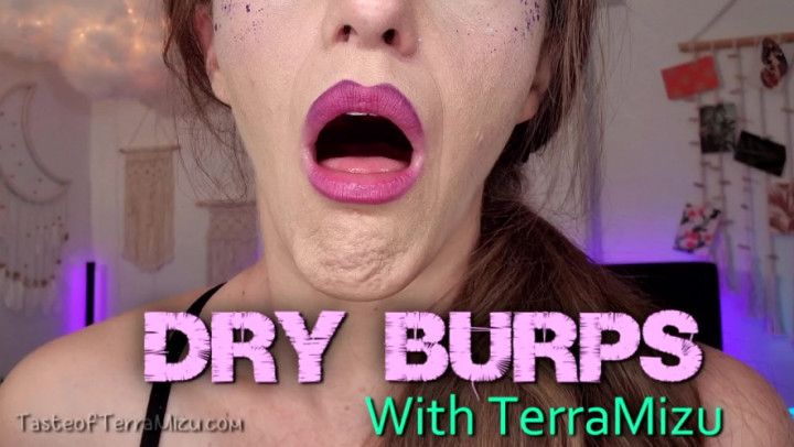 Dry Burps - TerraMizu