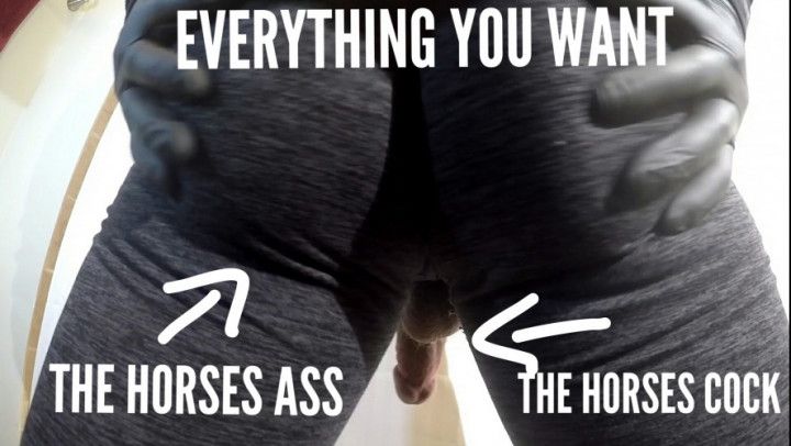 Everything you want. Ass, Cock, Cum. POV