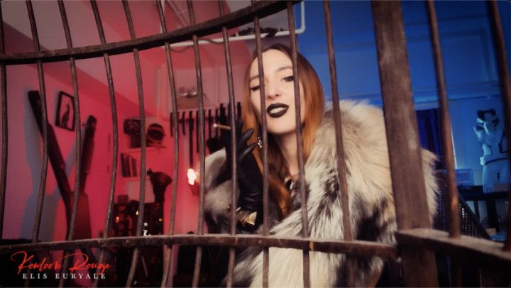 From boy to birdbait: avian transformation spell