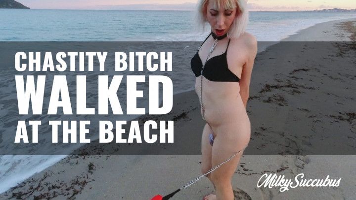 Chastity Bitch Walked at the Beach