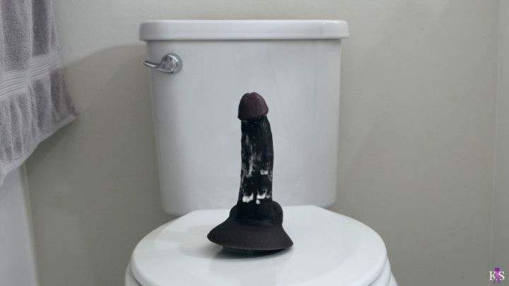 The Housewife's Affair IX 4K HDR