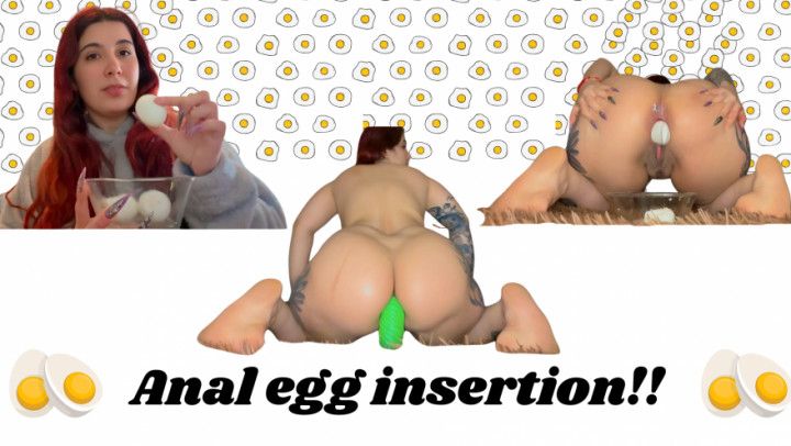 Egg anal insertions