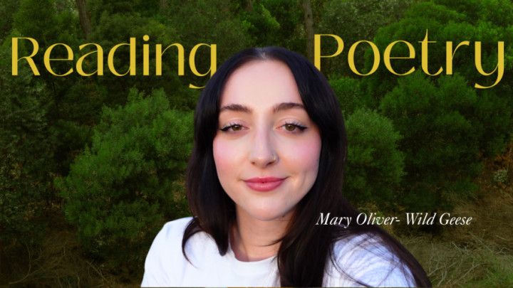 Poetry Reading - Wild Geese by Mary Oliver