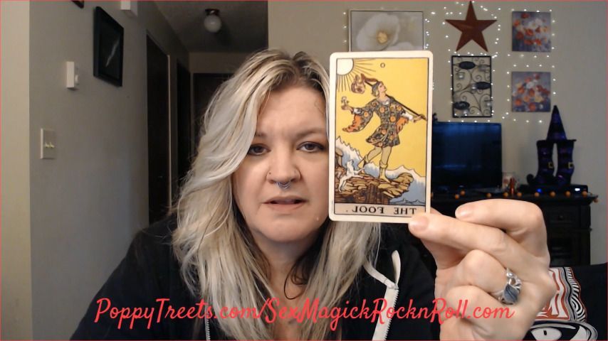 Promo-Tarot Fools Journey