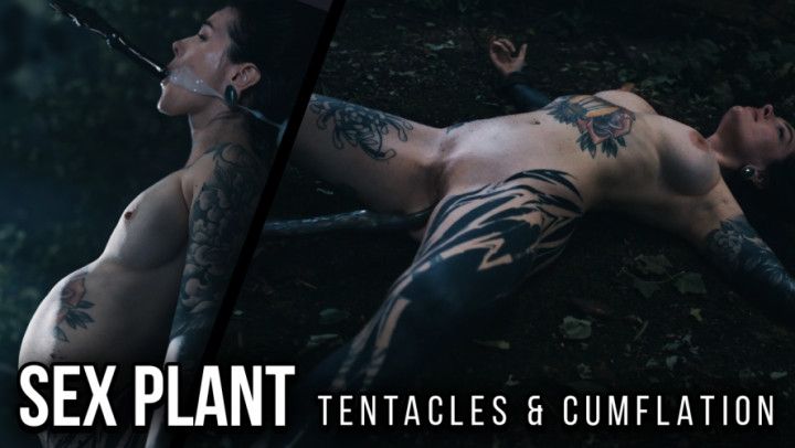 THE BOOK OF CURSES - Mag Numb