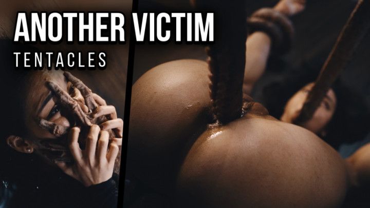 NO HONOUR AMONG THIEVES - Shelena