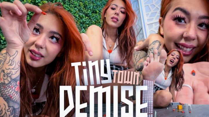 Tiny Town DEMISE