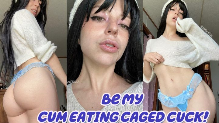 Be my CUCK CUM EATING CHASTITY SERVANT! - solo