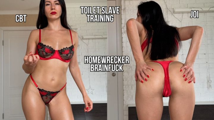 Homewrecker Brainfuck - Toilet Slave JOI & CBT Training
