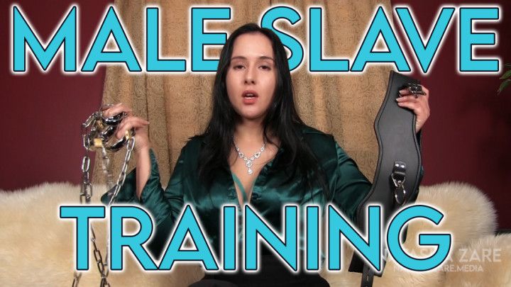 Male Slave Training