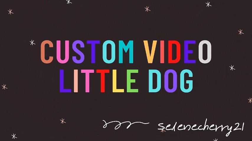Custom video Little 
